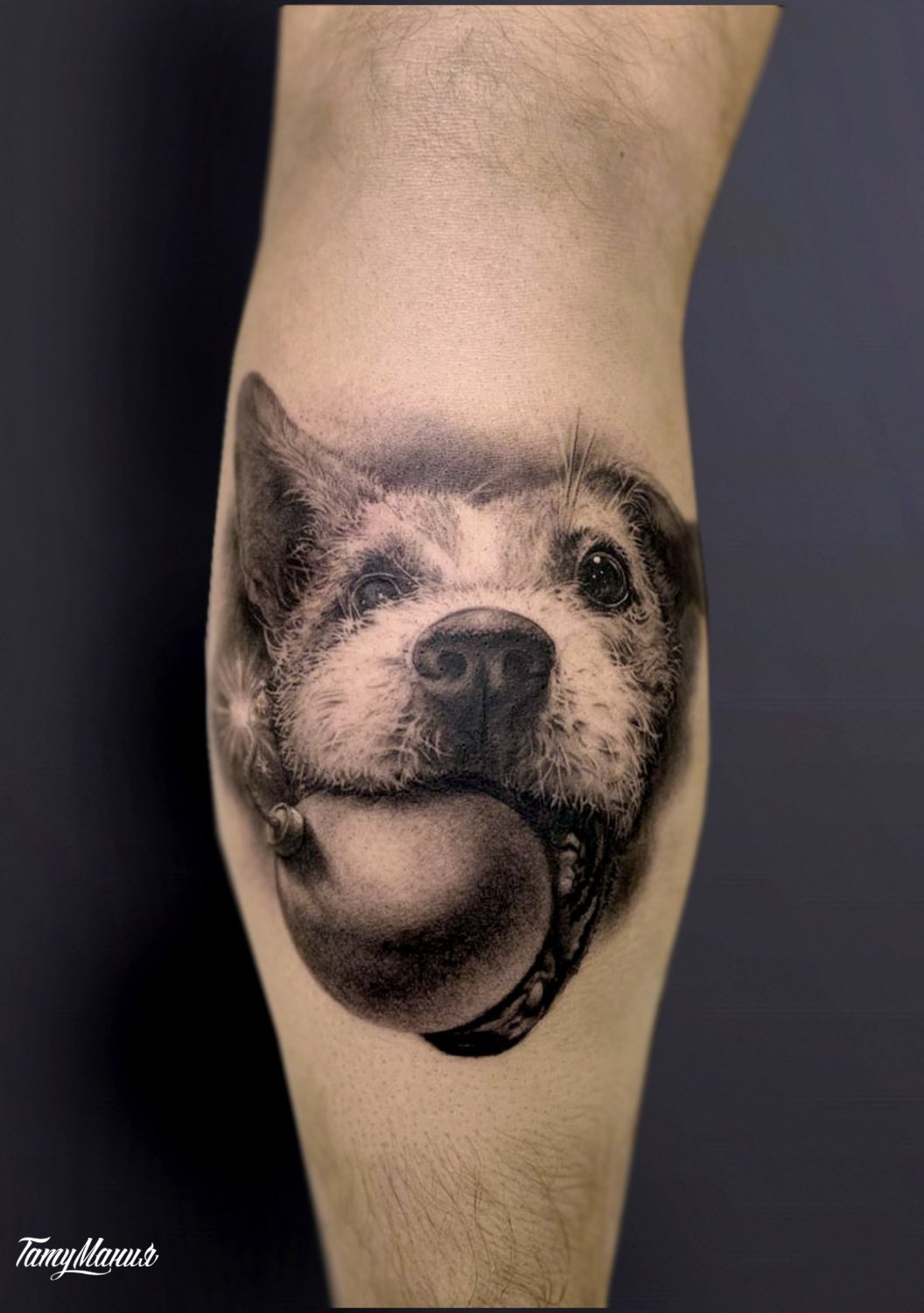 Тату собака на икре