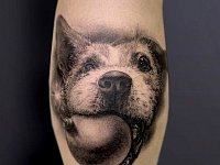 Тату собака на икре