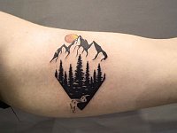 Тату горы на бицепсе