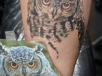 Татуировка сова на предплечье
