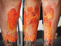 Тату феникс