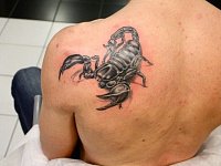 Тату скорпион на лопатке