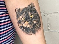 Тату кошка на предплечье