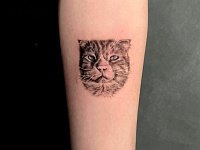 Тату морда кота