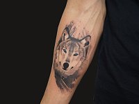 Тату волк в акварели