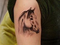 Тату голова лошади