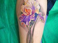 Тату цветок ирис