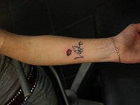 тату надпись и божья коровка