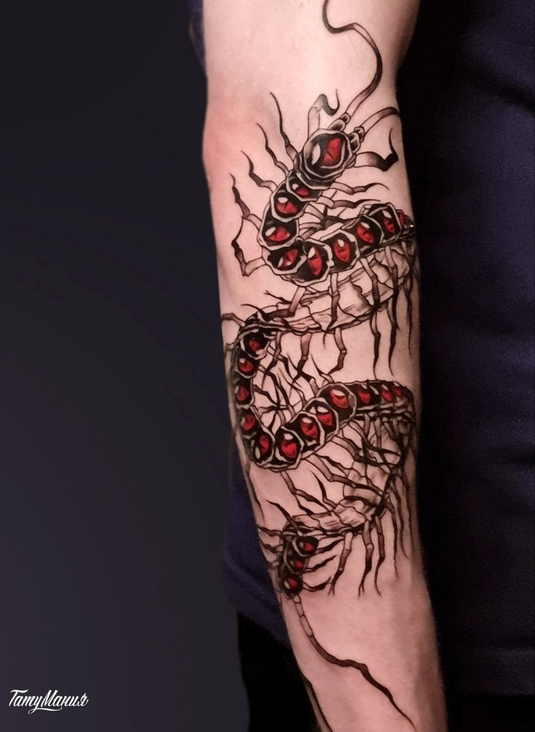 Тату сколопендра на руке