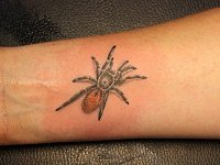 Тату паук