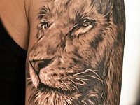 тату морда льва реализм