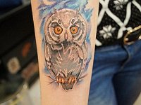 тату филин