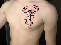 Тату скорпион на груди