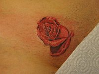 Женская интимная тату роза