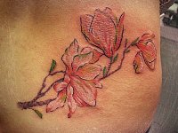 Тату ветка магнолии