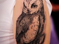 Тату сова на плече