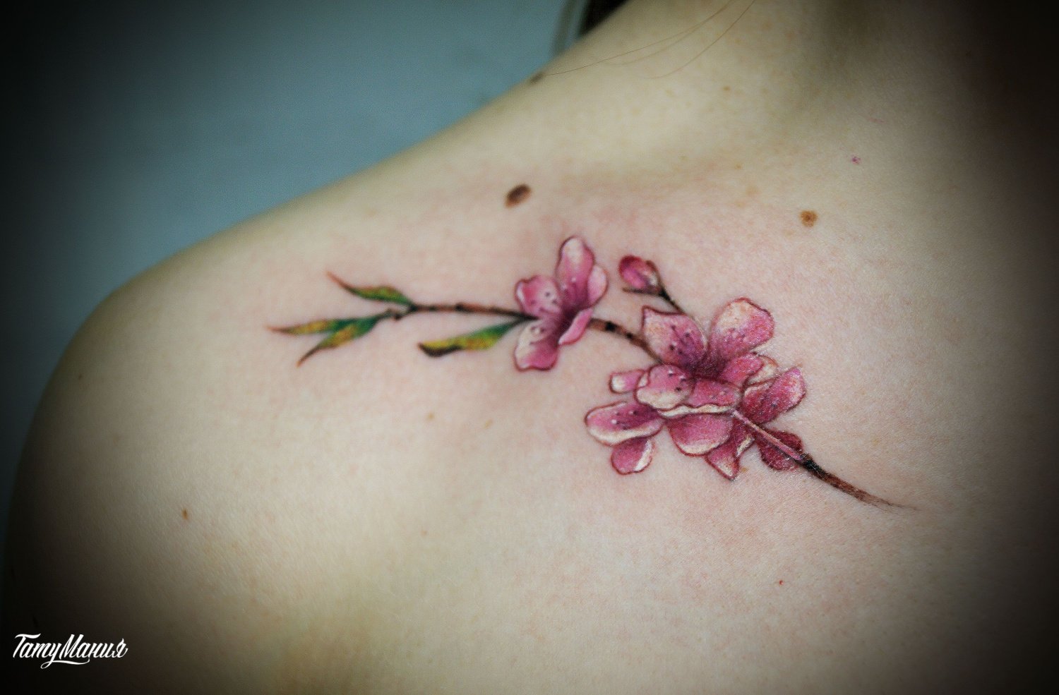 Тату магнолия на ключице