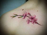 Тату магнолия на ключице