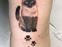 Тату сиамский кот
