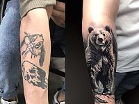 Перекрытие тату медведь