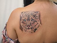 тату снежный барс