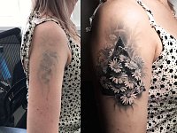 Обновление тату ромашки