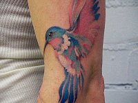 татуировка птица