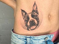 Тату французкий бульдог
