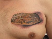 Тату на груди змея