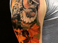 Тату филин и кленовые листья