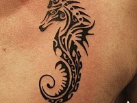 тату морской конек на груди