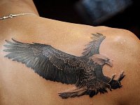 Тату орёл на лопатке
