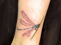 тату стрекоза на ноге