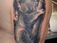 Татуировка Коала