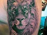 Тату лев на плече
