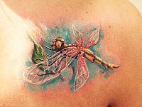 татуировка стрекоза