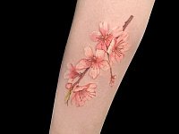 Татуировка сакура