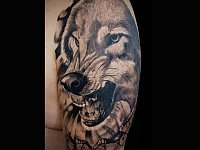 Тату волк с оскалом