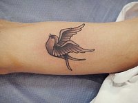 Тату ласточка олдскул на руке