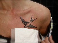 Женская тату ласточка