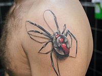 Татуировка паук на плече