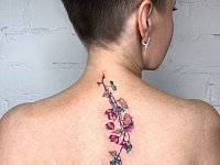 Тату плющ на спине