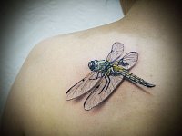 Тату стрекоза на лопатке