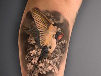 Тату ласточка на бицепсе