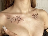 Тату веточки под ключицами