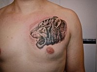Татуировка тигр на груди