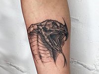 Тату кобра графика