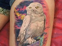 тату белая сова