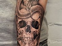 Тату череп и змея