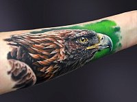 Тату орла на предплечье